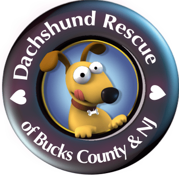 The Doxie Boutique logo