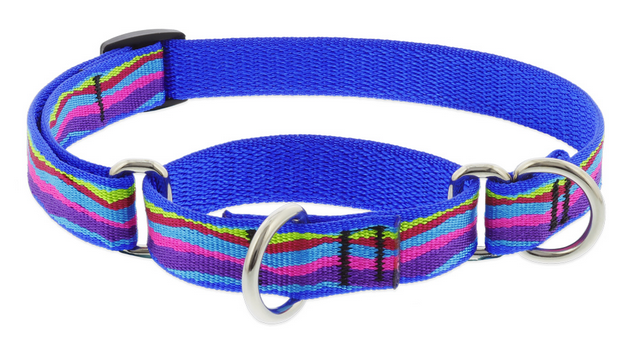 Lupine Collars - Poppin' Patterns