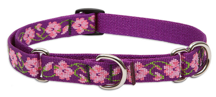 Lupine Collars - Poppin' Patterns