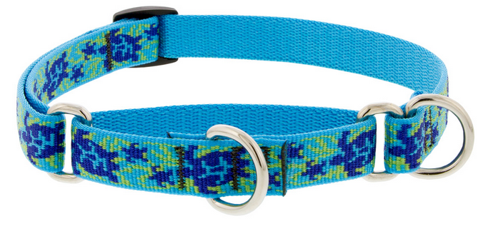 Lupine Collars - Poppin' Patterns