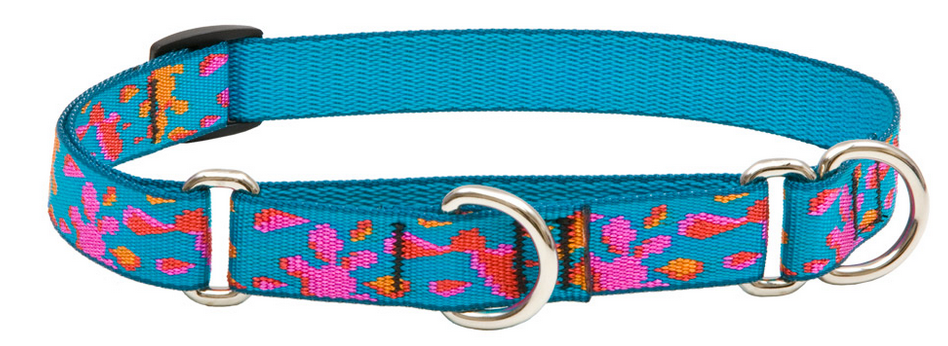 Lupine Collars - Poppin' Patterns