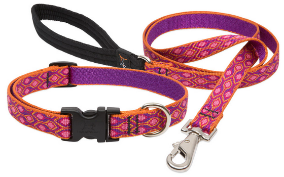 Lupine Leash - Poppin' Patterns