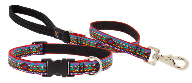 Lupine Leash - Poppin' Patterns