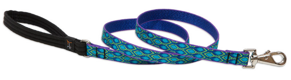 Lupine Leash - Poppin' Patterns