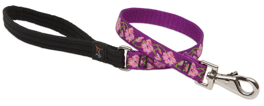 Lupine Leash - Poppin' Patterns