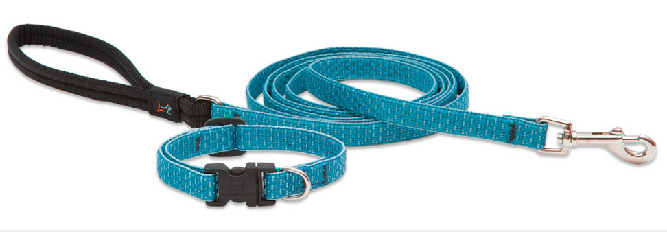 Lupine Leash - Eco Patterns