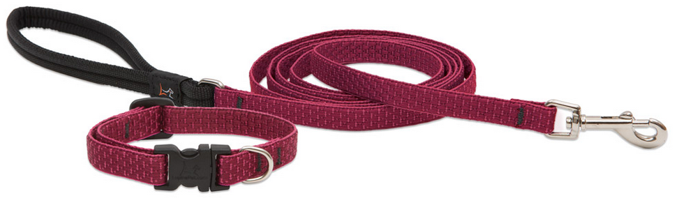 Lupine Leash - Eco Patterns