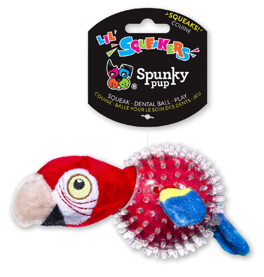 Clear Spunky Parrot