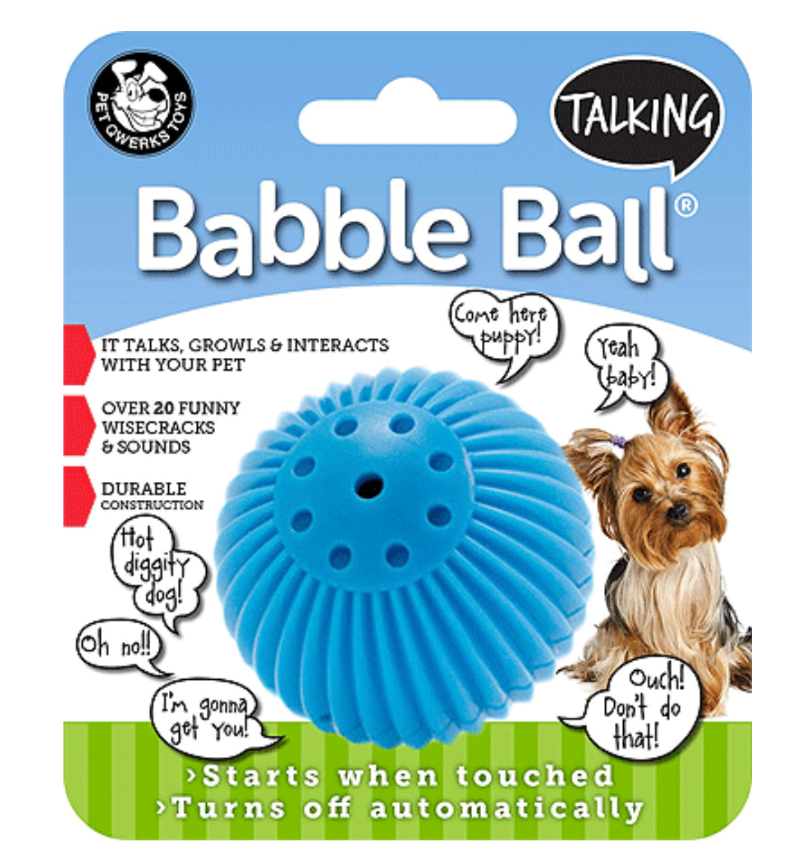 PETQWERKS Talking Ball