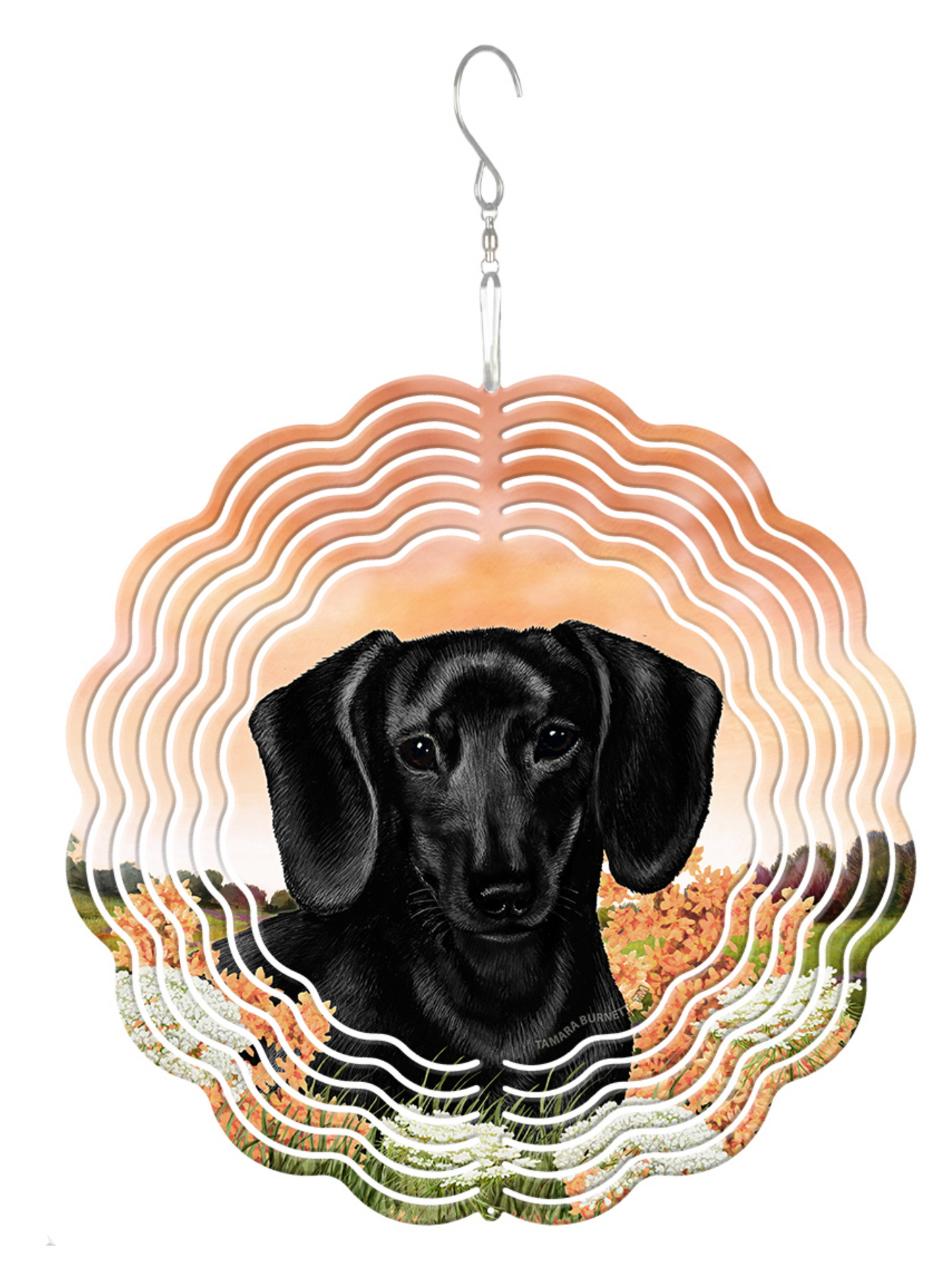 Doxie Wind Spinners