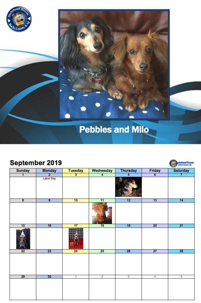 2019 DRBC Calendar