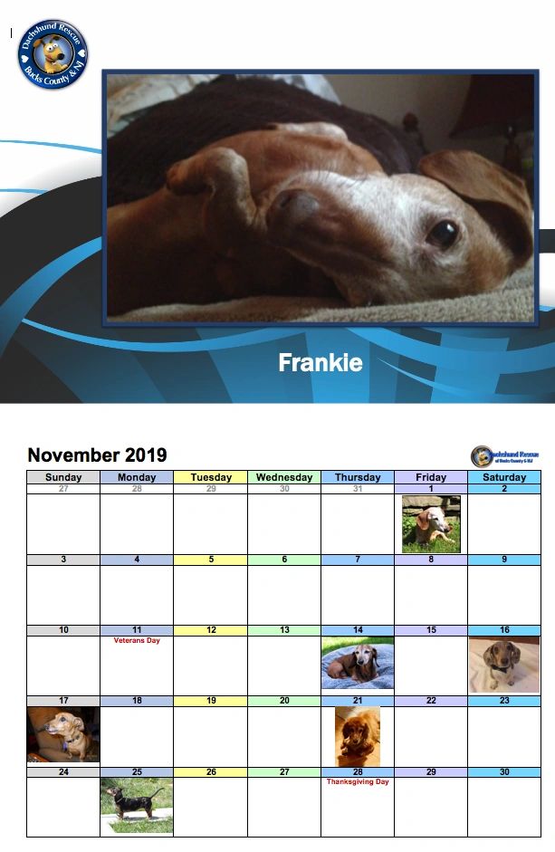 2019 DRBC Calendar