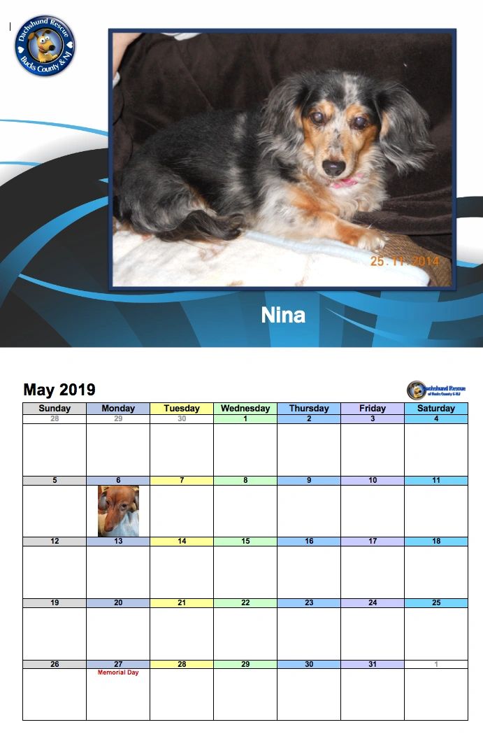 2019 DRBC Calendar