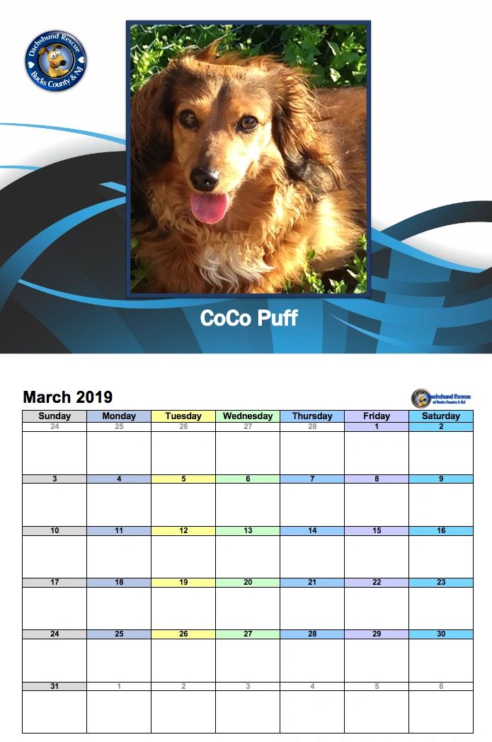 2019 DRBC Calendar