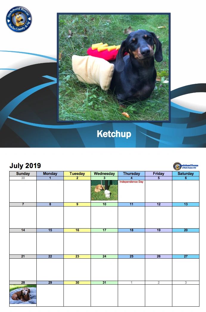 2019 DRBC Calendar