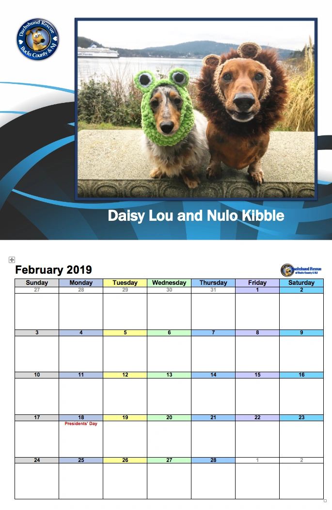 2019 DRBC Calendar & Planner Combo