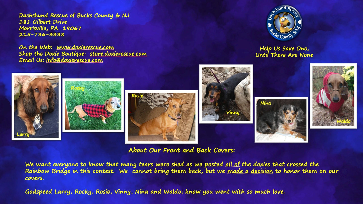 2020 DRBC Calendar & Planner Combo