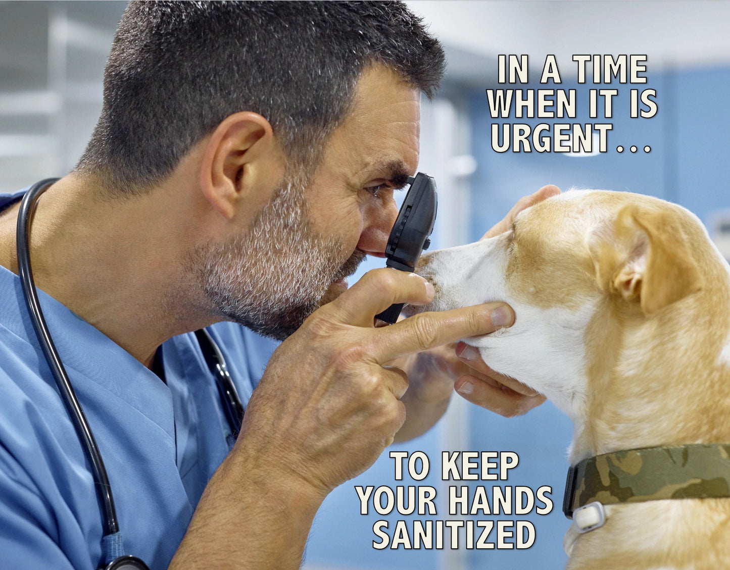 DRBC Hand Sanitizer, 5 oz