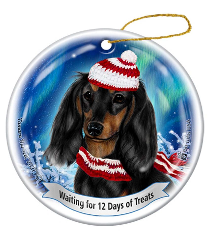 Holiday Ornament - 12 Days of Treats