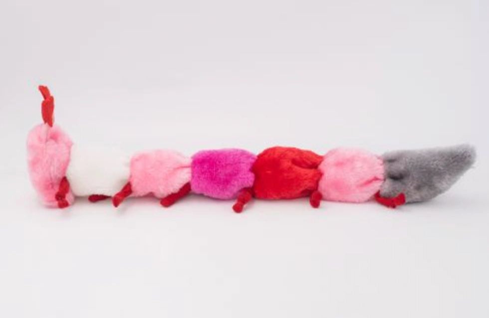 Valentine's Caterpillar - Large