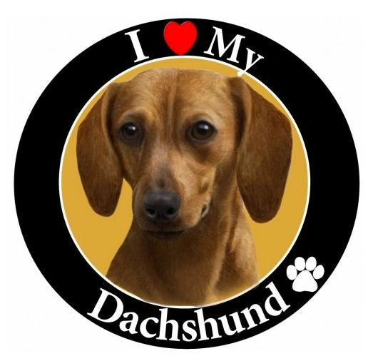 Doxie Car Magnet II