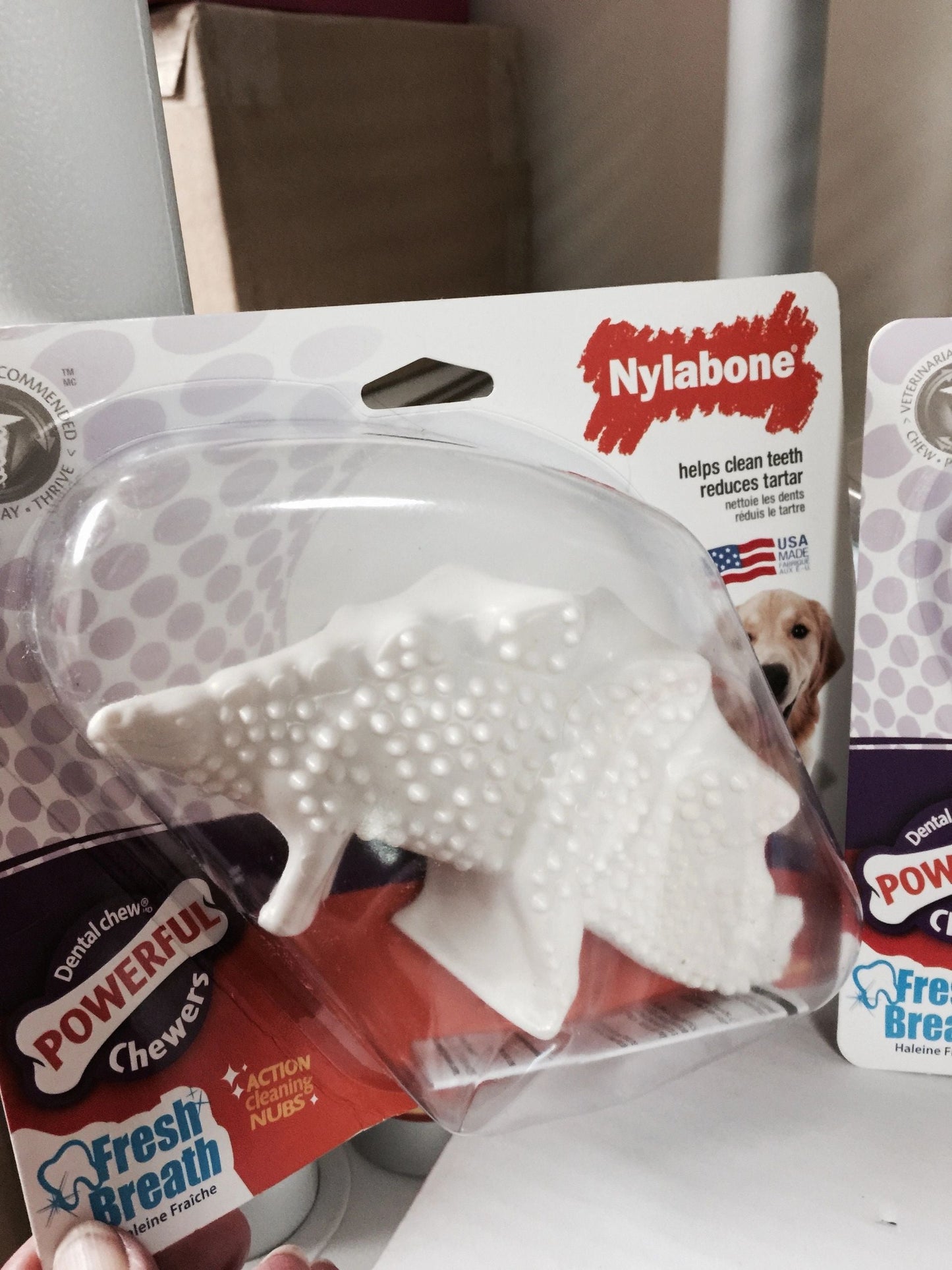 Nylabone Dinosaur Chew Toy