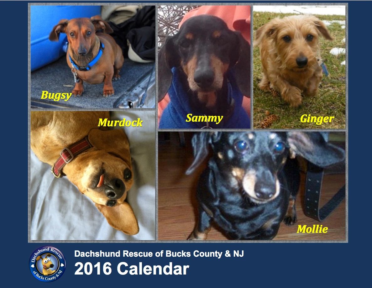 2016 DRBC Calendar