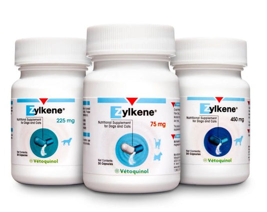 Zylkene Calming Supplement