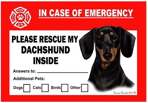 Dashshund Pet Savers Emergency Cling