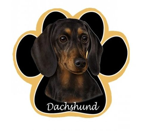 Doxie Car Magnet I