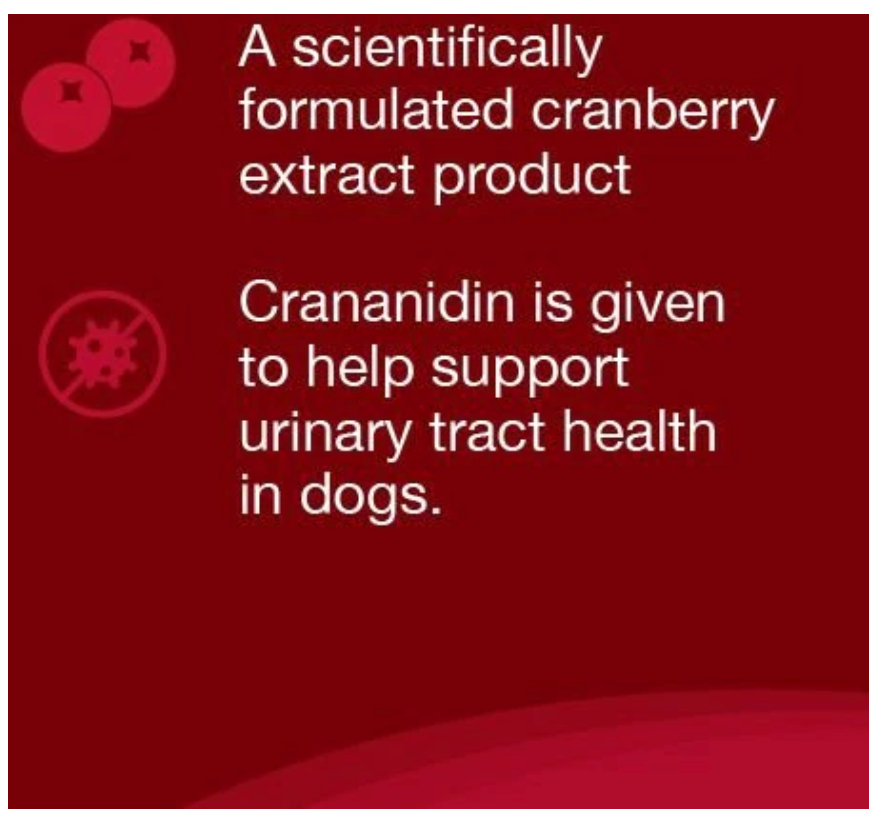 Nutramax Crananidin Urinary Chews