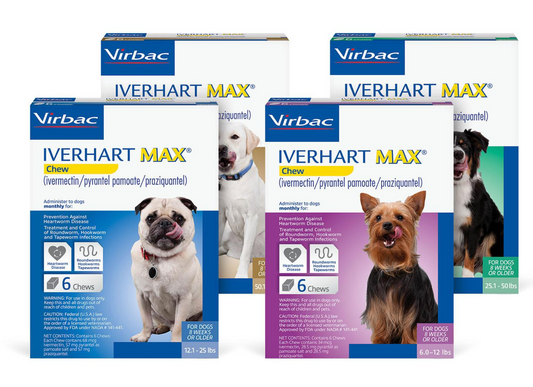 Iverhart Max Heartworm Preventative