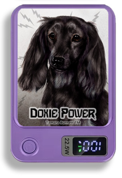 Doxie Wireless Magnetic Phone Charger Bank