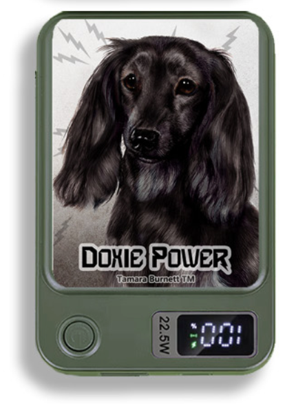 Doxie Wireless Magnetic Phone Charger Bank