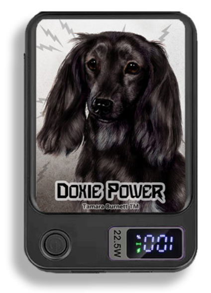 Doxie Wireless Magnetic Phone Charger Bank