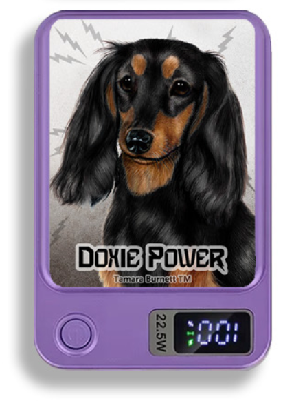Doxie Wireless Magnetic Phone Charger Bank