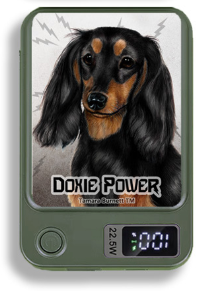Doxie Wireless Magnetic Phone Charger Bank