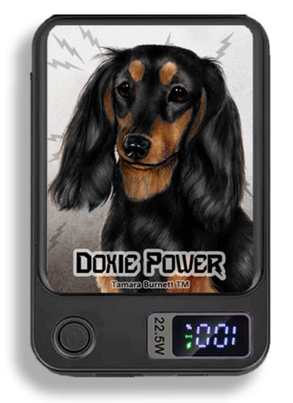Doxie Wireless Magnetic Phone Charger Bank