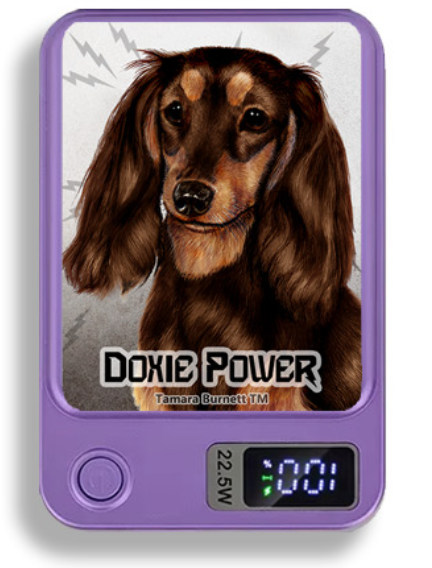 Doxie Wireless Magnetic Phone Charger Bank