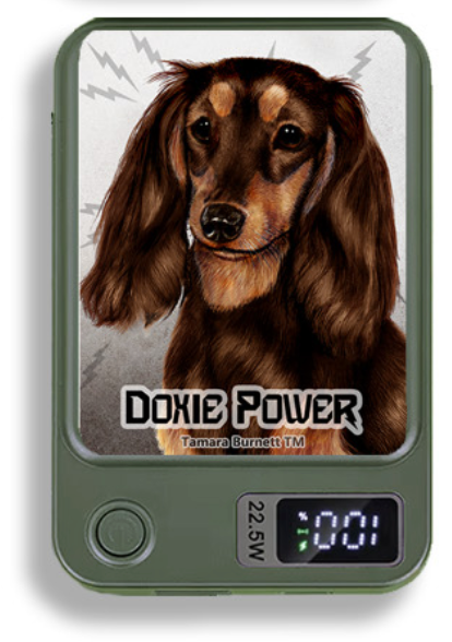 Doxie Wireless Magnetic Phone Charger Bank