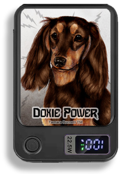 Doxie Wireless Magnetic Phone Charger Bank