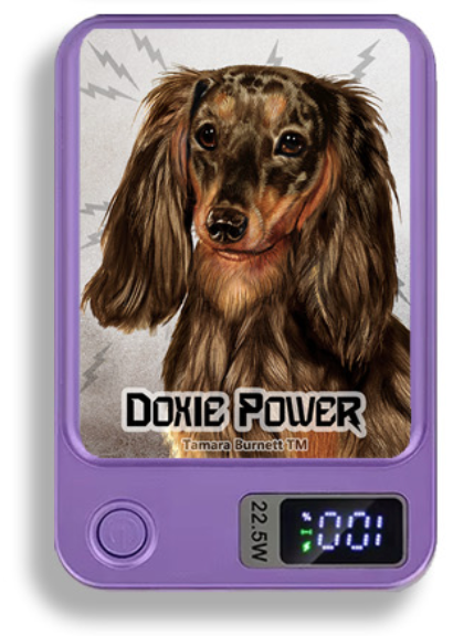 Doxie Wireless Magnetic Phone Charger Bank