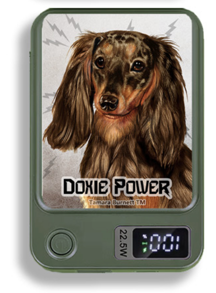 Doxie Wireless Magnetic Phone Charger Bank