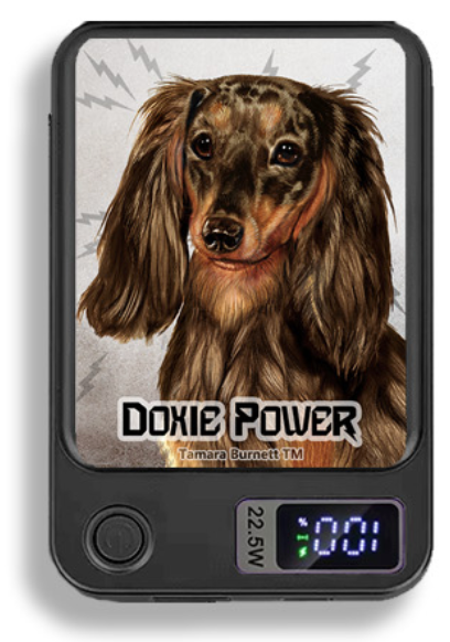 Doxie Wireless Magnetic Phone Charger Bank