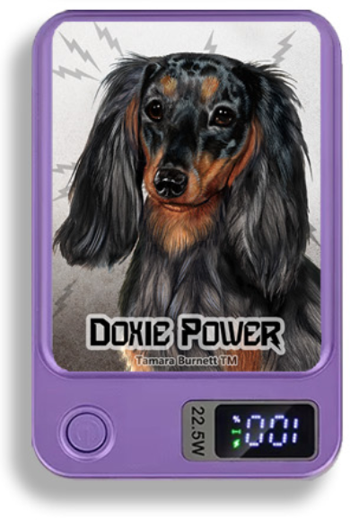 Doxie Wireless Magnetic Phone Charger Bank