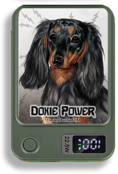 Doxie Wireless Magnetic Phone Charger Bank