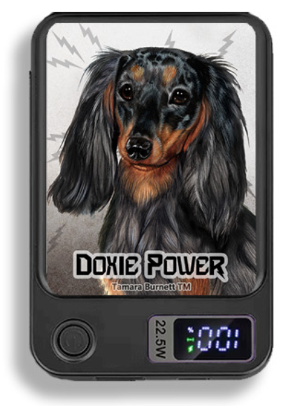 Doxie Wireless Magnetic Phone Charger Bank