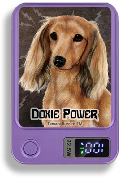 Doxie Wireless Magnetic Phone Charger Bank