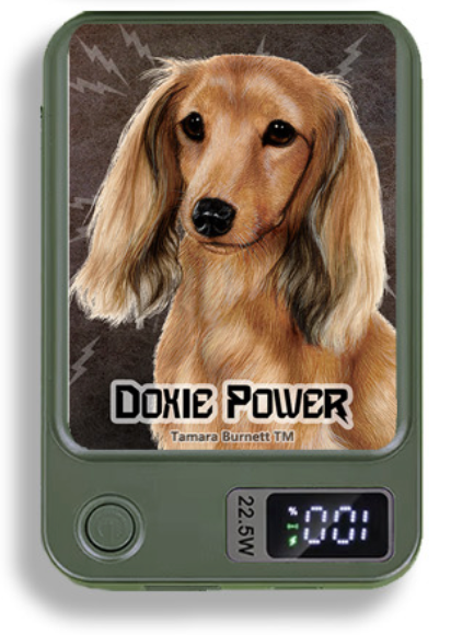 Doxie Wireless Magnetic Phone Charger Bank