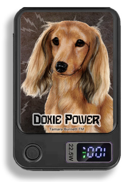 Doxie Wireless Magnetic Phone Charger Bank
